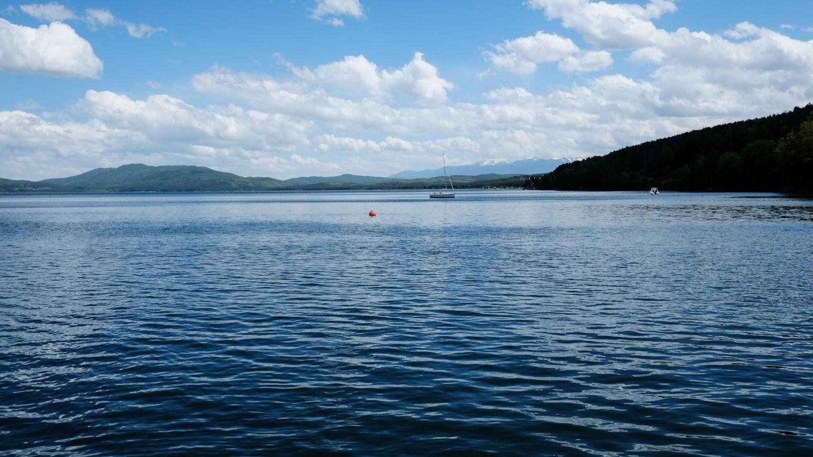 Wisconsin Department of Natural Resources gives tips on stopping spread of invasive species